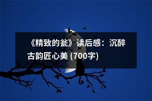 《精致的甕》讀后感：沉醉古韻匠心美 (700字)