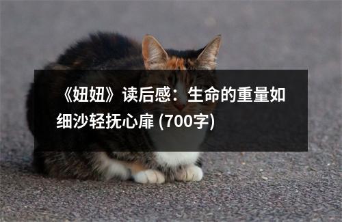 《妞妞》讀后感：生命的重量如細(xì)沙輕撫心扉 (700字)