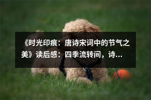 《時(shí)光印痕：唐詩(shī)宋詞中的節(jié)氣之美》讀后感：四季流轉(zhuǎn)間，詩(shī)意盎然如詩(shī)行 (800字)