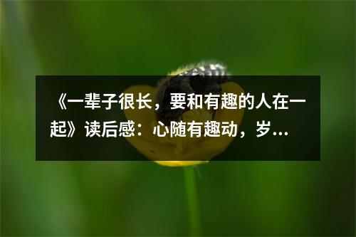 《一輩子很長，要和有趣的人在一起》讀后感：心隨有趣動，歲月亦歡歌 (700字)