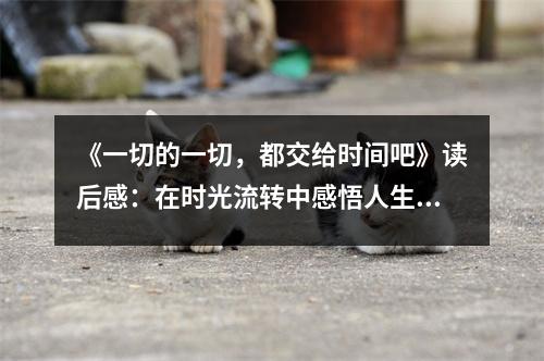 《一切的一切，都交給時間吧》讀后感：在時光流轉中感悟人生真諦 (850字)