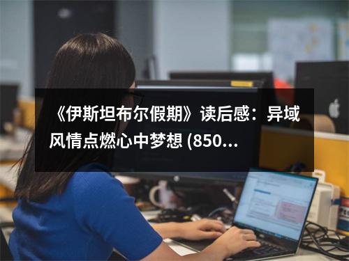 《伊斯坦布爾假期》讀后感：異域風(fēng)情點(diǎn)燃心中夢(mèng)想 (850字)