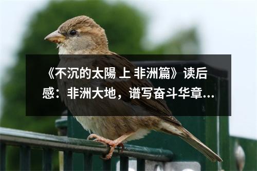 《不沉的太陽 上 非洲篇》讀后感：非洲大地，譜寫奮斗華章 (750字)