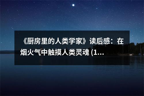 《廚房里的人類(lèi)學(xué)家》讀后感：在煙火氣中觸摸人類(lèi)靈魂 (1000字)