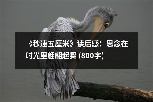 《秒速五厘米》讀后感：思念在時(shí)光里翩翩起舞 (800字)