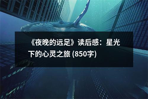 《夜晚的遠(yuǎn)足》讀后感：星光下的心靈之旅 (850字)