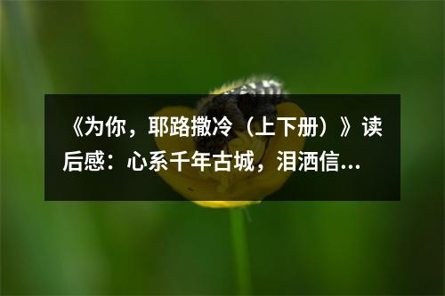 《為你，耶路撒冷（上下冊）》讀后感：心系千年古城，淚灑信仰之光 (1000字)