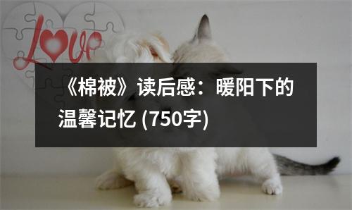 《棉被》讀后感：暖陽下的溫馨記憶 (750字)