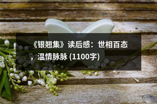 《銀翹集》讀后感：世相百態(tài)，溫情脈脈 (1100字)