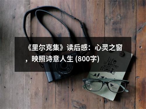 《里爾克集》讀后感：心靈之窗，映照詩(shī)意人生 (800字)