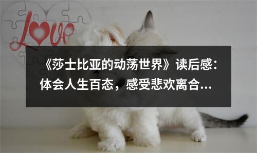 《莎士比亞的動(dòng)蕩世界》讀后感：體會(huì)人生百態(tài)，感受悲歡離合 (950字)