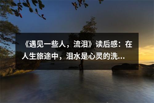 《遇見一些人，流淚》讀后感：在人生旅途中，淚水是心靈的洗禮 (700字)