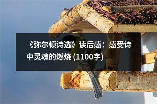 《彌爾頓詩選》讀后感：感受詩中靈魂的燃燒 (1100字)
