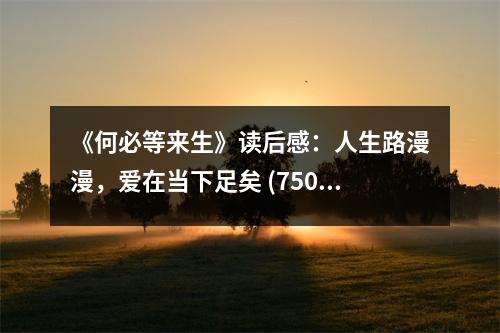 《何必等來(lái)生》讀后感：人生路漫漫，愛(ài)在當(dāng)下足矣 (750字)