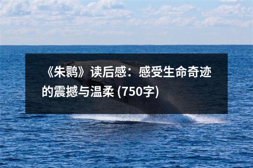 《朱鹮》讀后感：感受生命奇跡的震撼與溫柔 (750字)