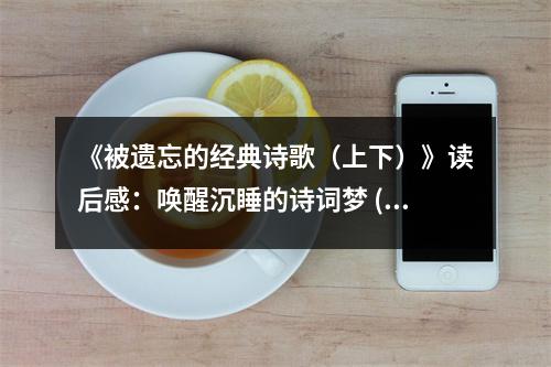 《被遺忘的經(jīng)典詩(shī)歌（上下）》讀后感：?jiǎn)拘殉了脑?shī)詞夢(mèng) (900字)