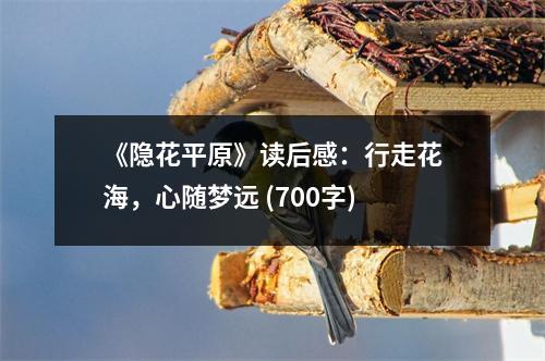 《隱花平原》讀后感：行走花海，心隨夢遠 (700字)