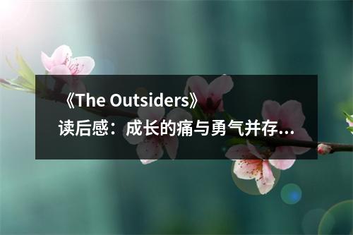 《The Outsiders》讀后感：成長的痛與勇氣并存 (800字)