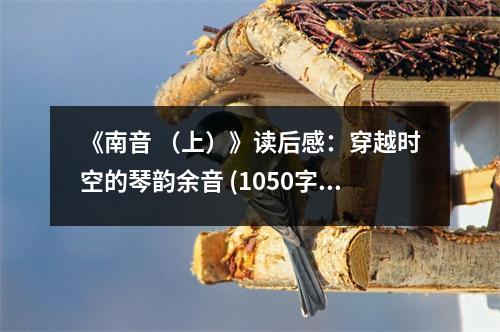 《南音 （上）》讀后感：穿越時空的琴韻余音 (1050字)