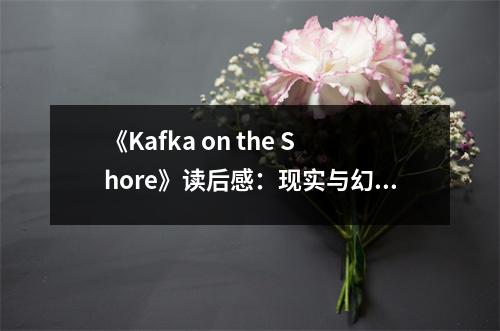《Kafka on the Shore》讀后感：現(xiàn)實(shí)與幻想交織的魔幻之旅 (850字)