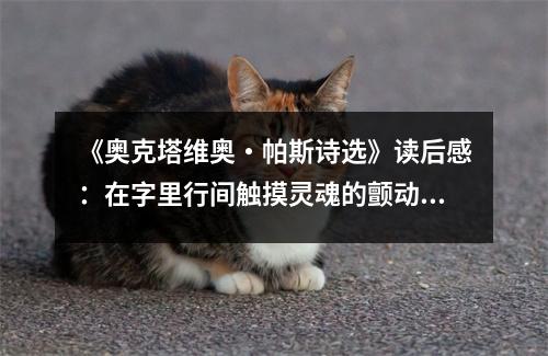 《奧克塔維奧?帕斯詩選》讀后感：在字里行間觸摸靈魂的顫動(dòng) (850字)