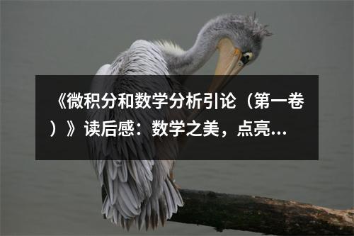 《微積分和數(shù)學(xué)分析引論（第一卷）》讀后感：數(shù)學(xué)之美，點(diǎn)亮思維火花 (650字)