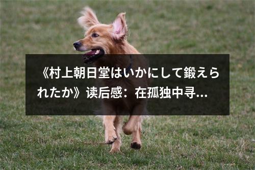 《村上朝日堂はいかにして鍛えられたか》讀后感：在孤獨(dú)中尋找自我救贖 (750字)