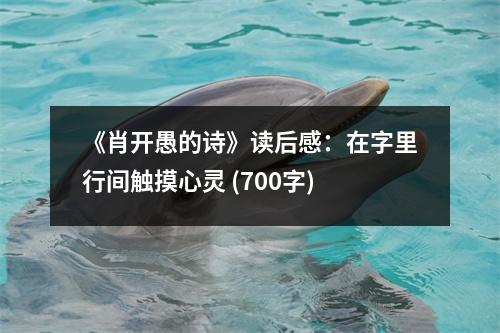 《肖開愚的詩》讀后感：在字里行間觸摸心靈 (700字)