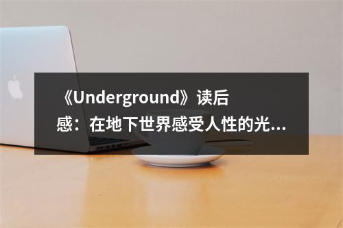 《Underground》讀后感：在地下世界感受人性的光輝 (700字)