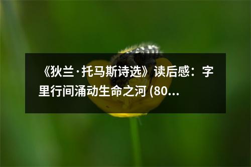 《狄蘭·托馬斯詩選》讀后感：字里行間涌動生命之河 (800字)