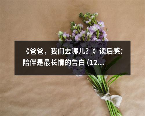 《爸爸，我們?nèi)ツ膬?？》讀后感：陪伴是最長情的告白 (1250字)