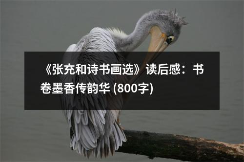 《張充和詩(shī)書(shū)畫(huà)選》讀后感：書(shū)卷墨香傳韻華 (800字)