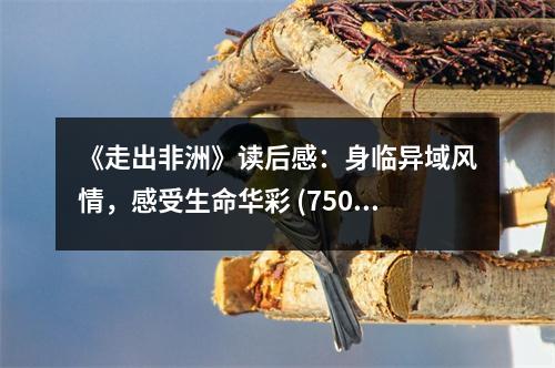 《走出非洲》讀后感：身臨異域風情，感受生命華彩 (750字)