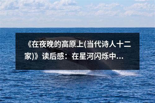 《在夜晚的高原上(當代詩人十二家)》讀后感：在星河閃爍中感悟生命之美 (800字)