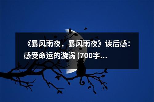 《暴風雨夜，暴風雨夜》讀后感：感受命運的漩渦 (700字)