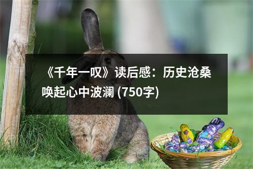 《千年一嘆》讀后感：歷史滄桑喚起心中波瀾 (750字)
