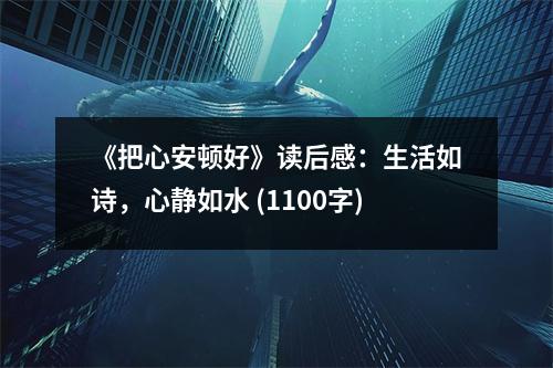 《把心安頓好》讀后感：生活如詩，心靜如水 (1100字)