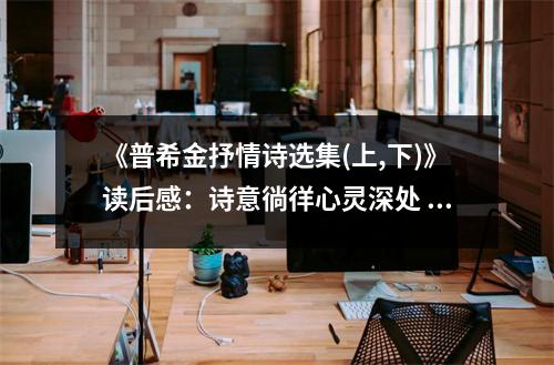 《普希金抒情詩(shī)選集(上,下)》讀后感：詩(shī)意徜徉心靈深處 (900字)