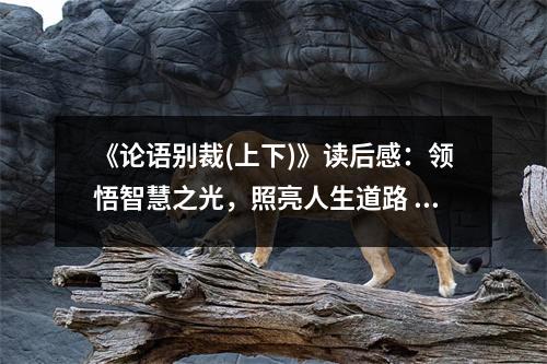 《論語別裁(上下)》讀后感：領(lǐng)悟智慧之光，照亮人生道路 (900字)