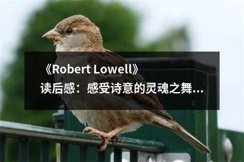 《Robert Lowell》讀后感：感受詩(shī)意的靈魂之舞 (750字)
