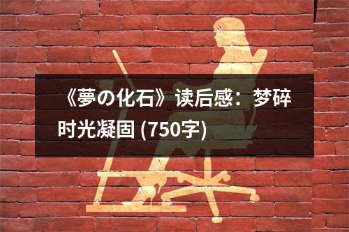 《夢の化石》讀后感：夢碎時光凝固 (750字)