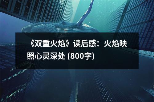 《雙重火焰》讀后感：火焰映照心靈深處 (800字)