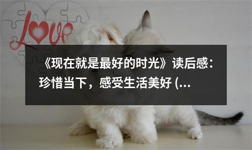 《現(xiàn)在就是最好的時光》讀后感：珍惜當下，感受生活美好 (750字)