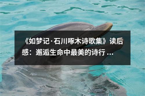 《如夢記·石川啄木詩歌集》讀后感：邂逅生命中最美的詩行 (800字)