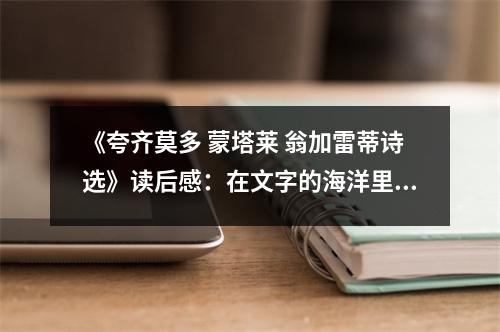 《夸齊莫多 蒙塔萊 翁加雷蒂詩選》讀后感：在文字的海洋里遨游 (800字)