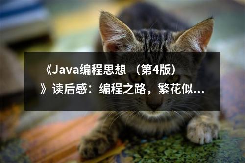 《Java編程思想 （第4版）》讀后感：編程之路，繁花似錦 (700字)