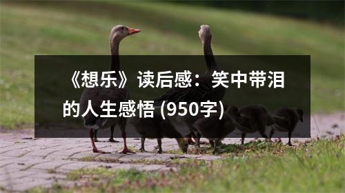 《想樂(lè)》讀后感：笑中帶淚的人生感悟 (950字)