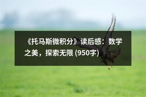 《托馬斯微積分》讀后感：數(shù)學(xué)之美，探索無限 (950字)
