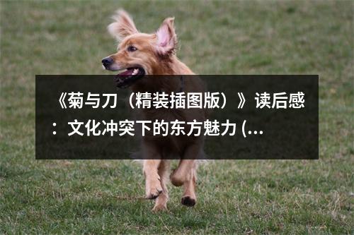 《菊與刀（精裝插圖版）》讀后感：文化沖突下的東方魅力 (1050字)
