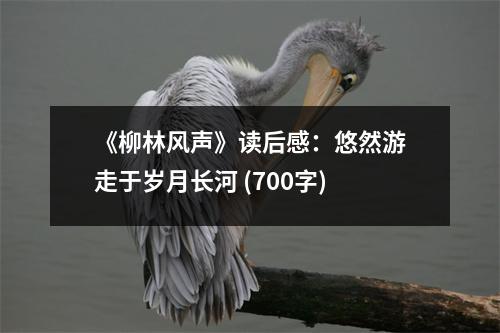 《柳林風聲》讀后感：悠然游走于歲月長河 (700字)
